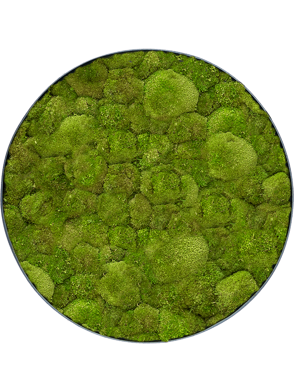 Moss Painting (5)