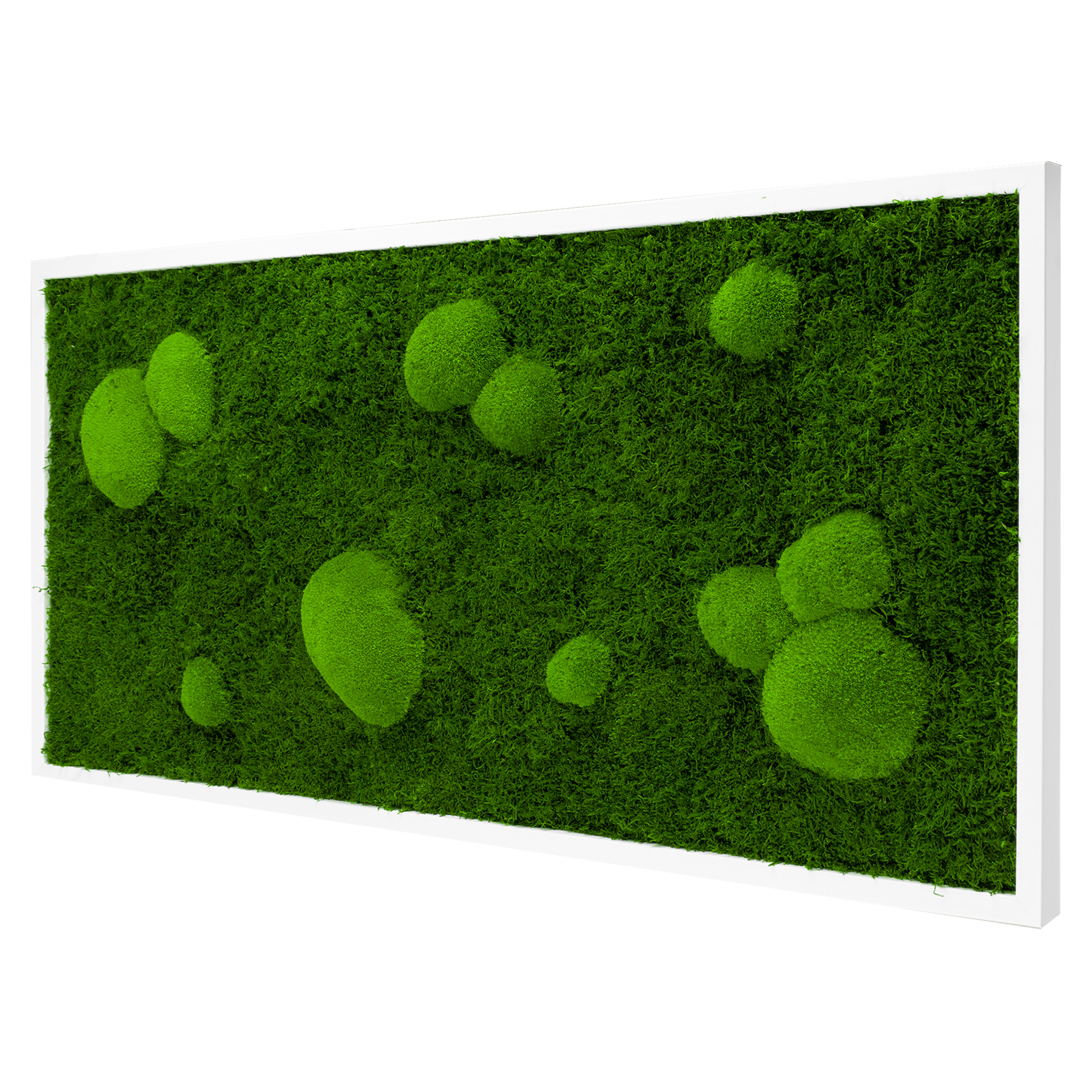 Moosbild Forest Design (110x55, weiß)