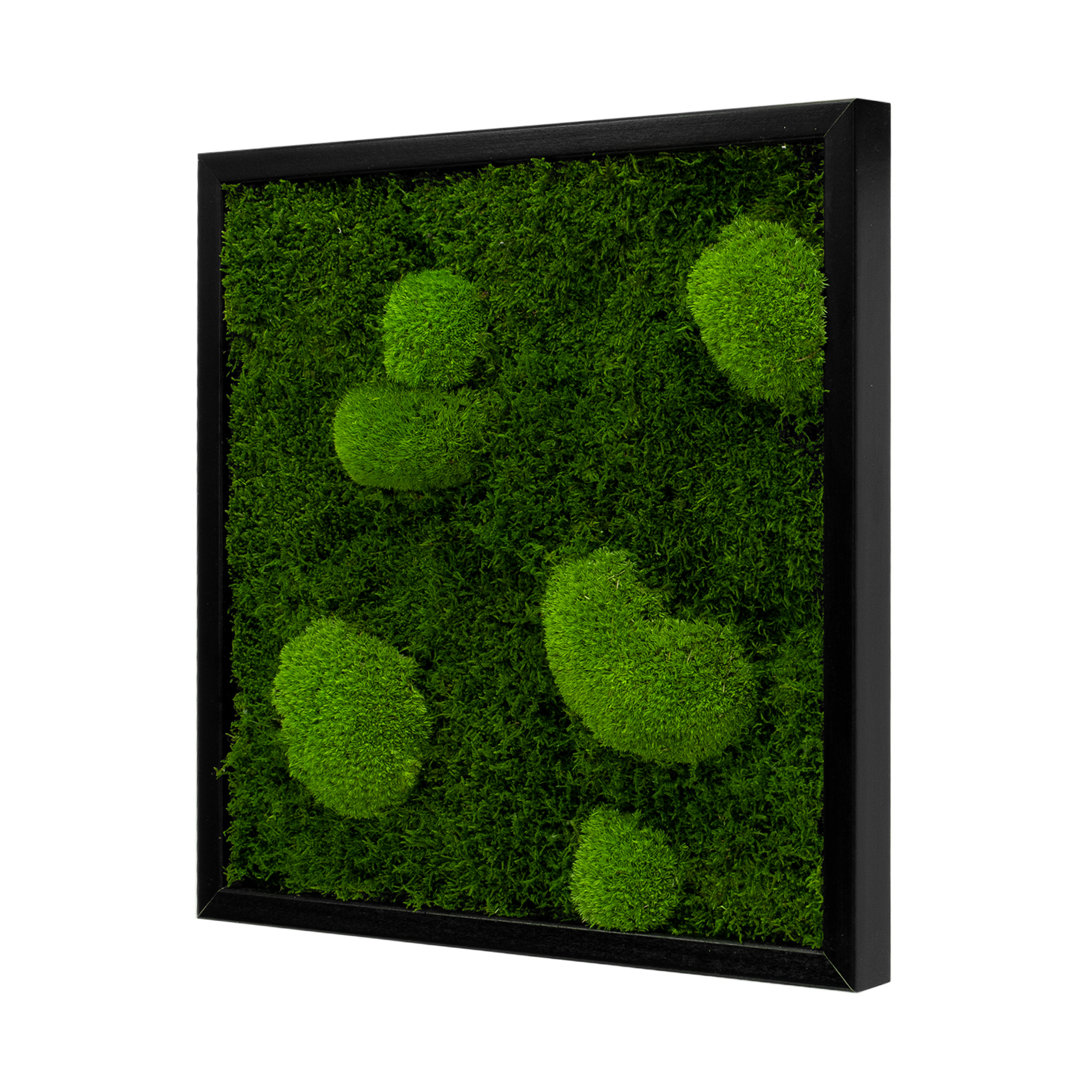 FOR_45x45S_