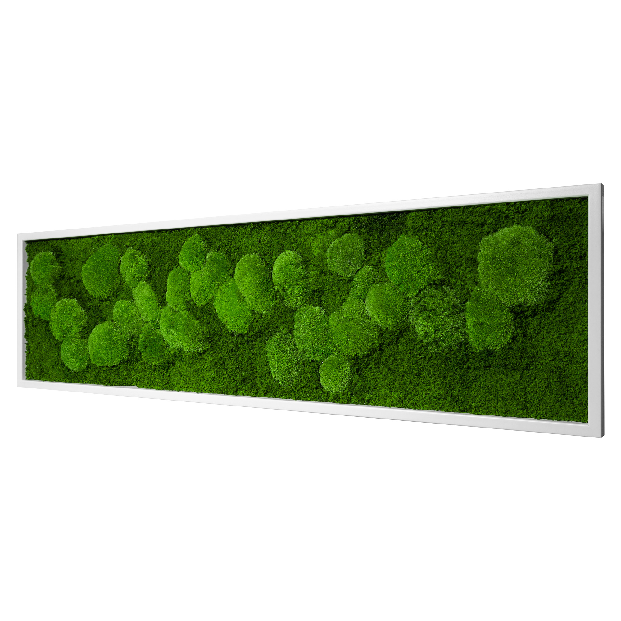 140x40_fif_wei