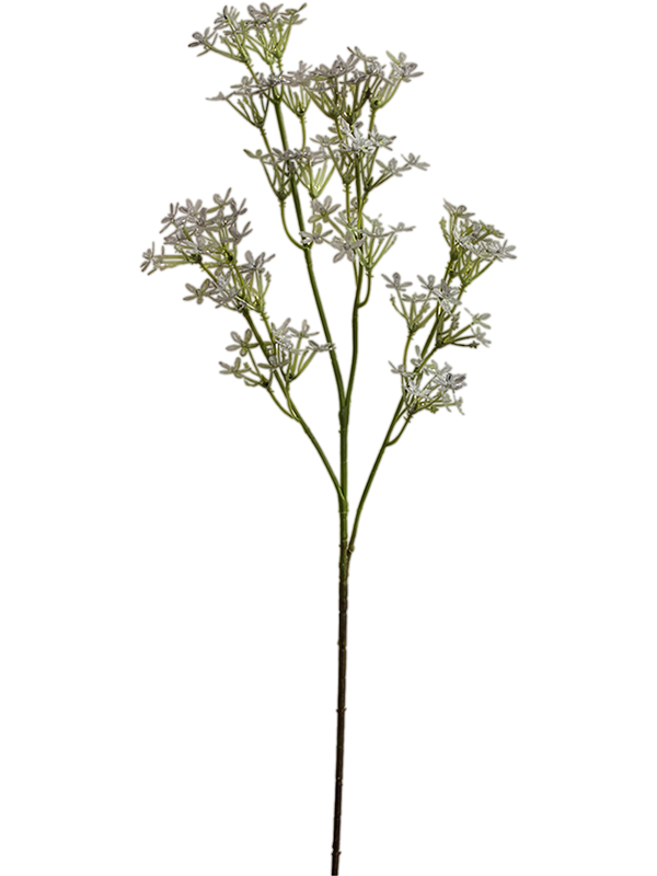 Crown Flower (67)