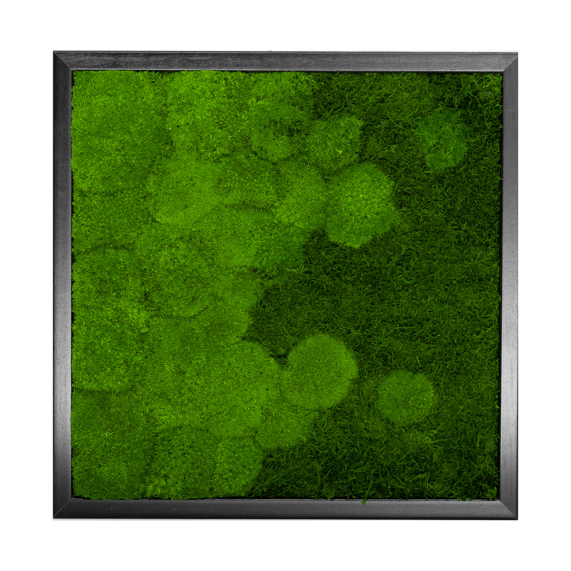 RIV_45x45S_1_