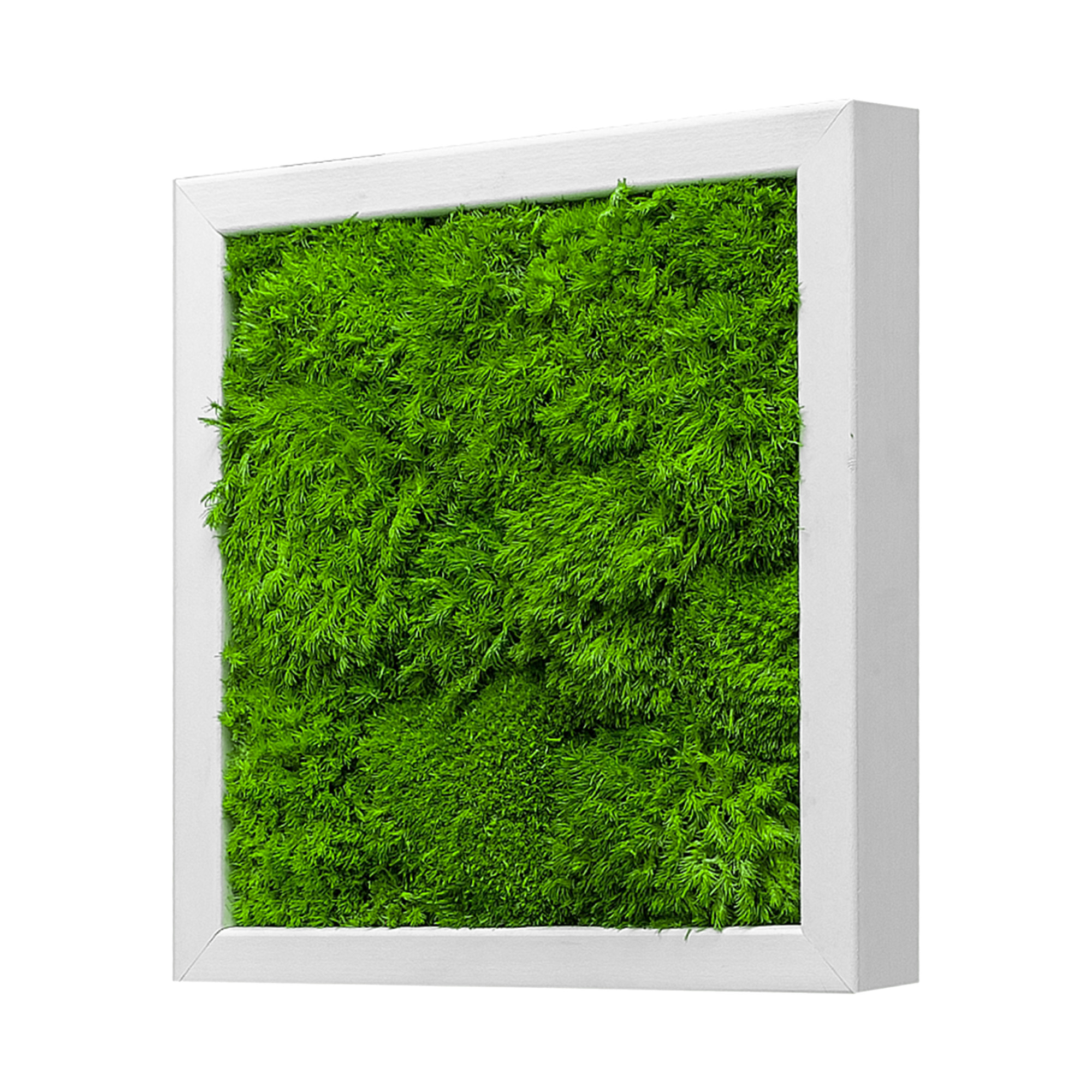 Moosbild Wave Design (25x25, weiß)