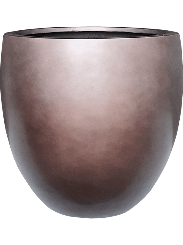 Baq Gradient (68)