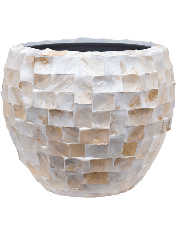 Baq Oceana Pearl (45)