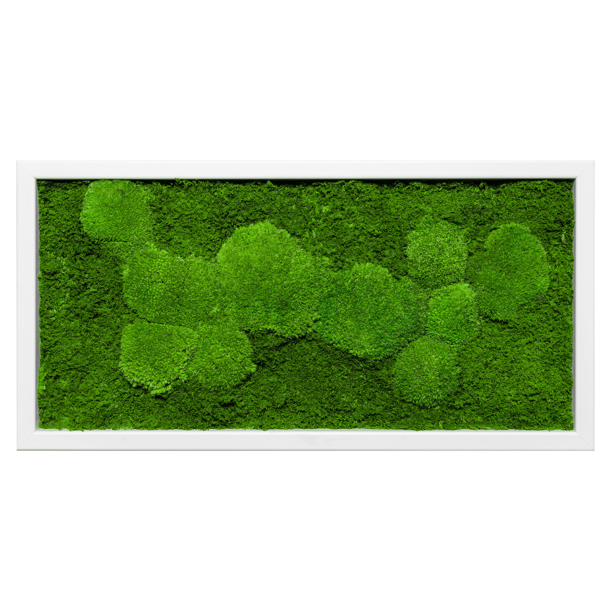 60x30_fif_wei_1