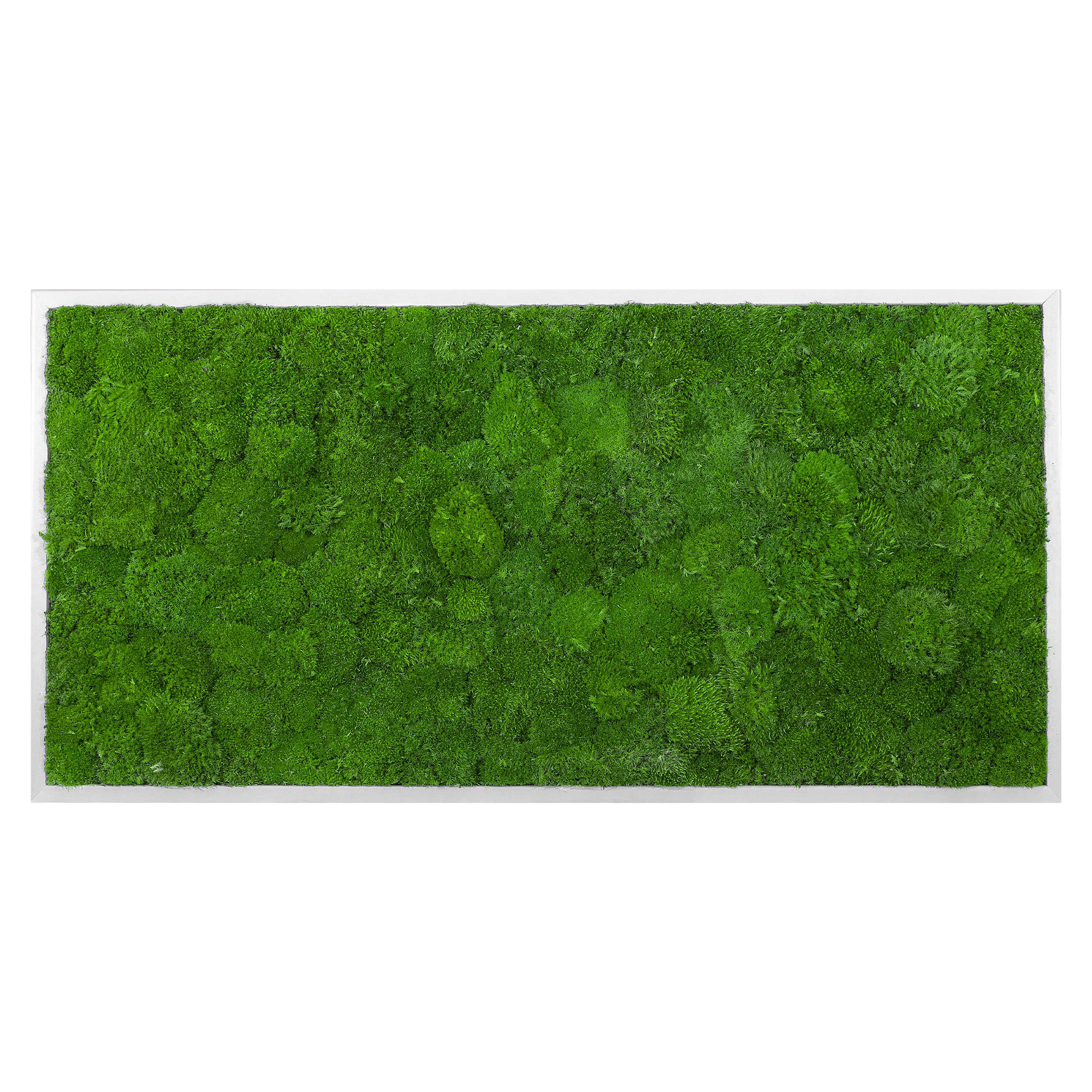 Moosbild Wave Design (110x55, weiß)