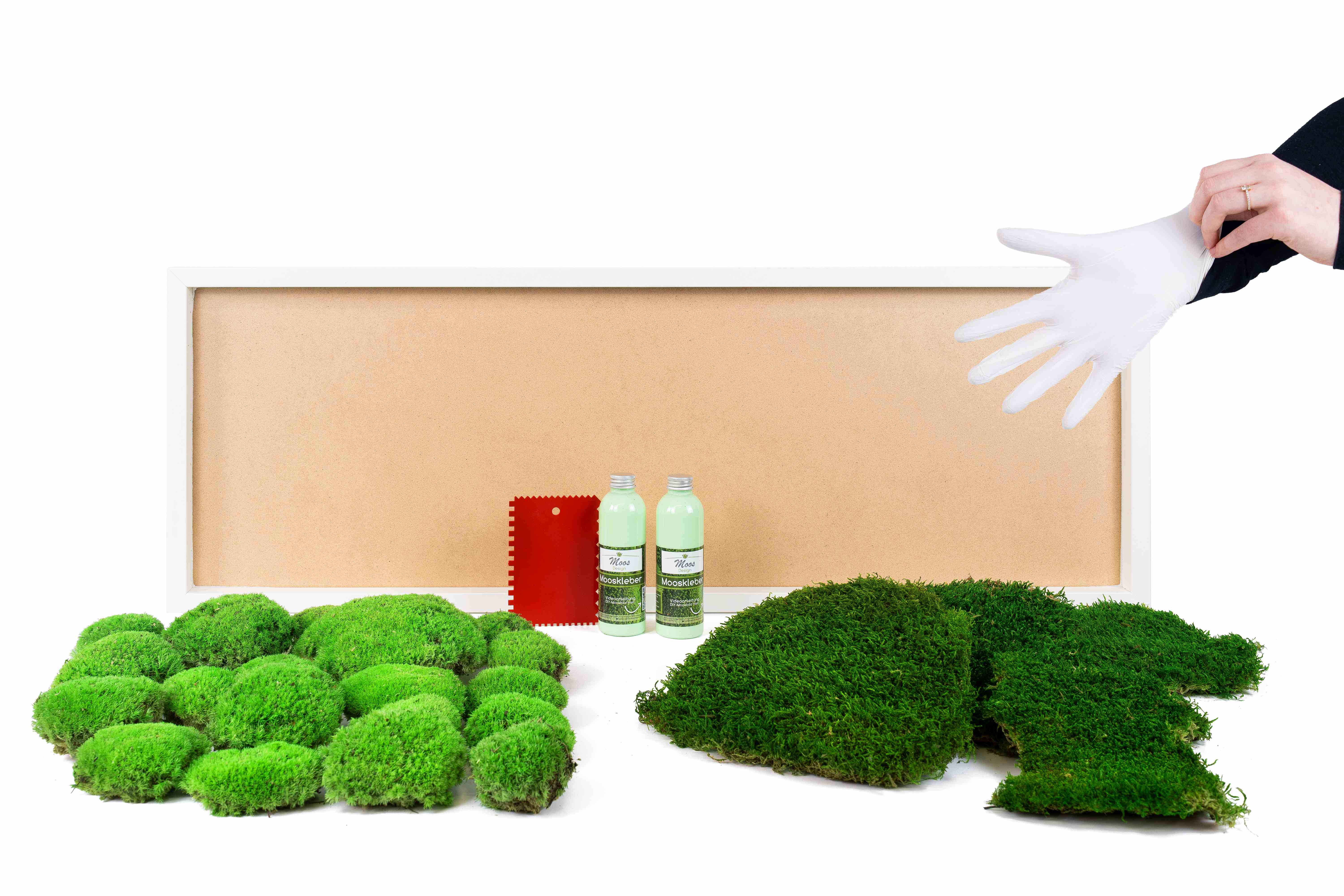 Moosbild DIY-Set nach Maß