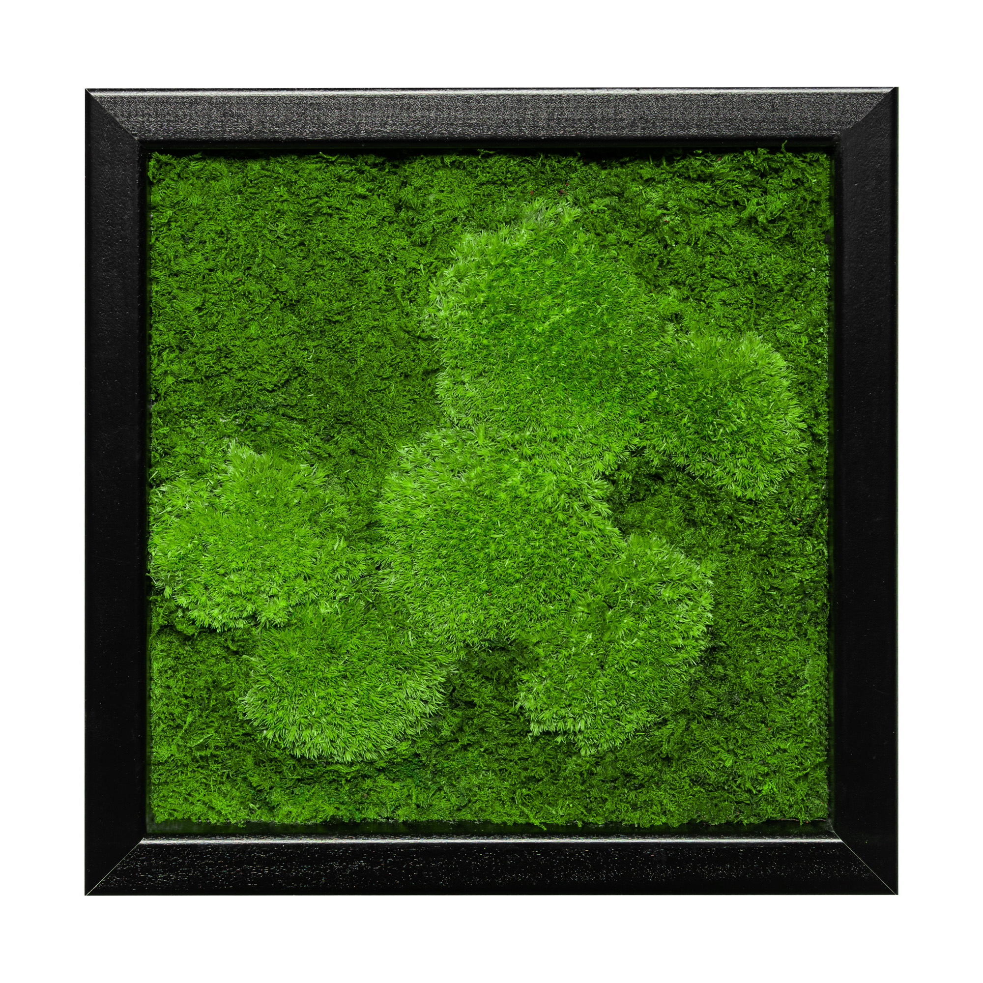  Moosbild Fifty Fifty Design (25x25, schwarz)