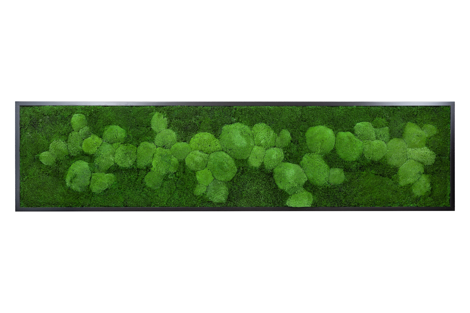 4_RET_-1-200x50-FIF-S
