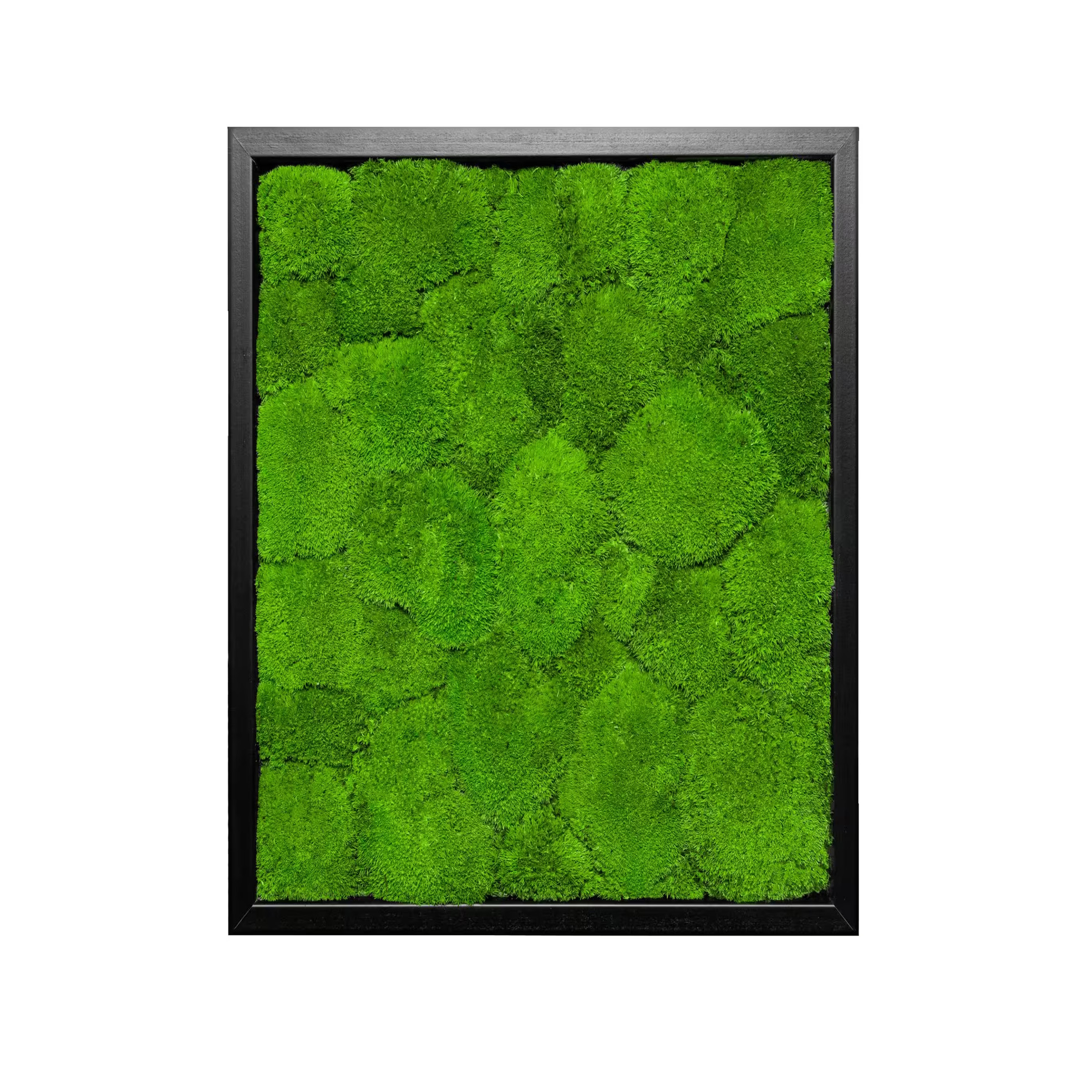 30x40-BAL