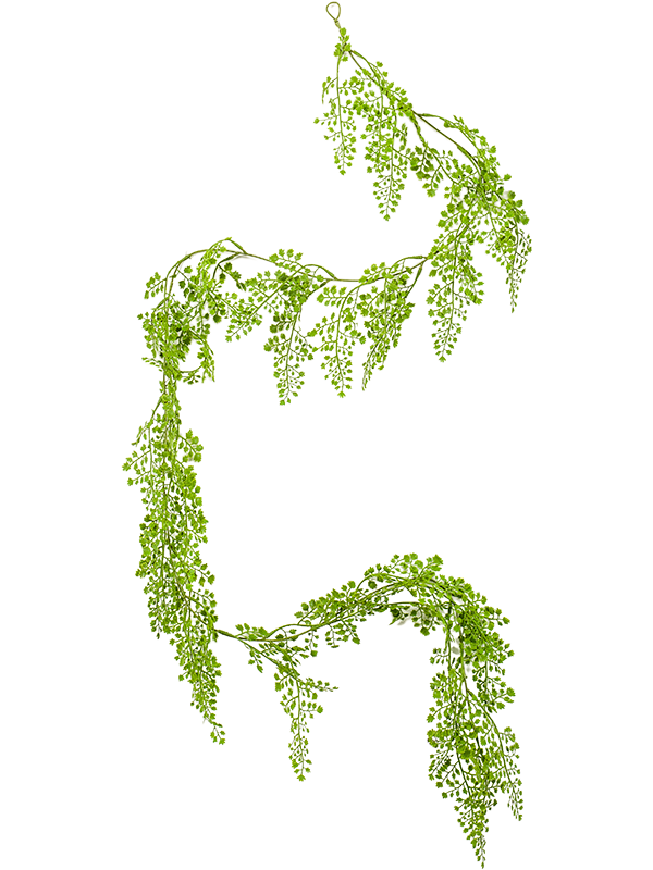 Adianthum Garland (180)