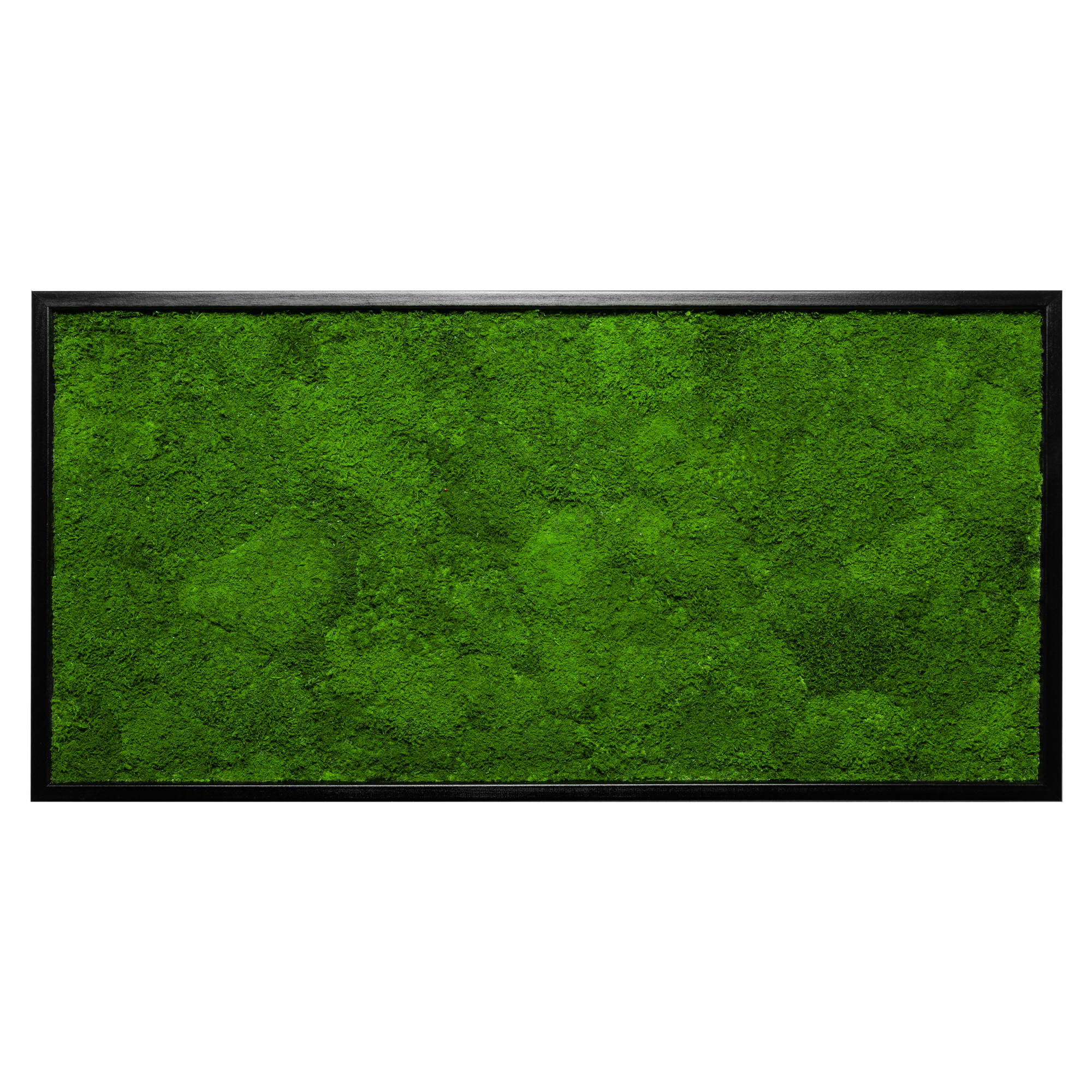 110x55_fla_sch_1