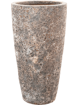 6LAVP650M-medium
