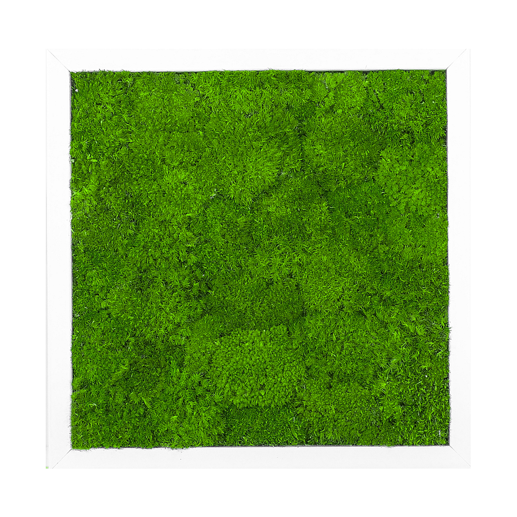 Wave_Design_35x35W_1_