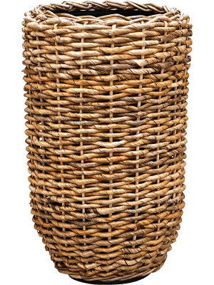 6MND05737-medium