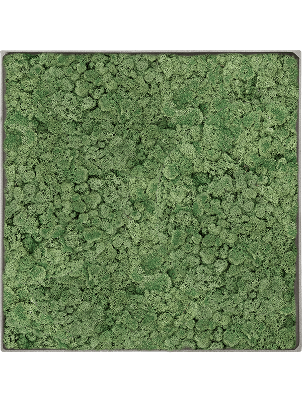 Moss Painting (5)