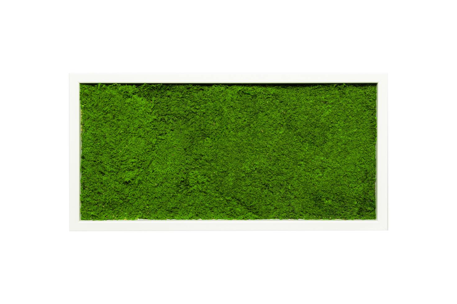 FLA60x30WiGFfu08UBhcJS