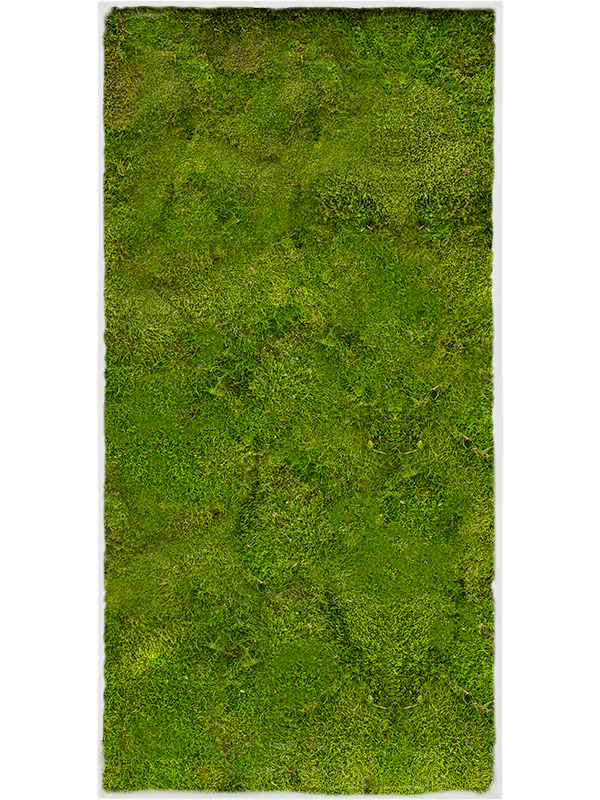 Moss Painting (6)