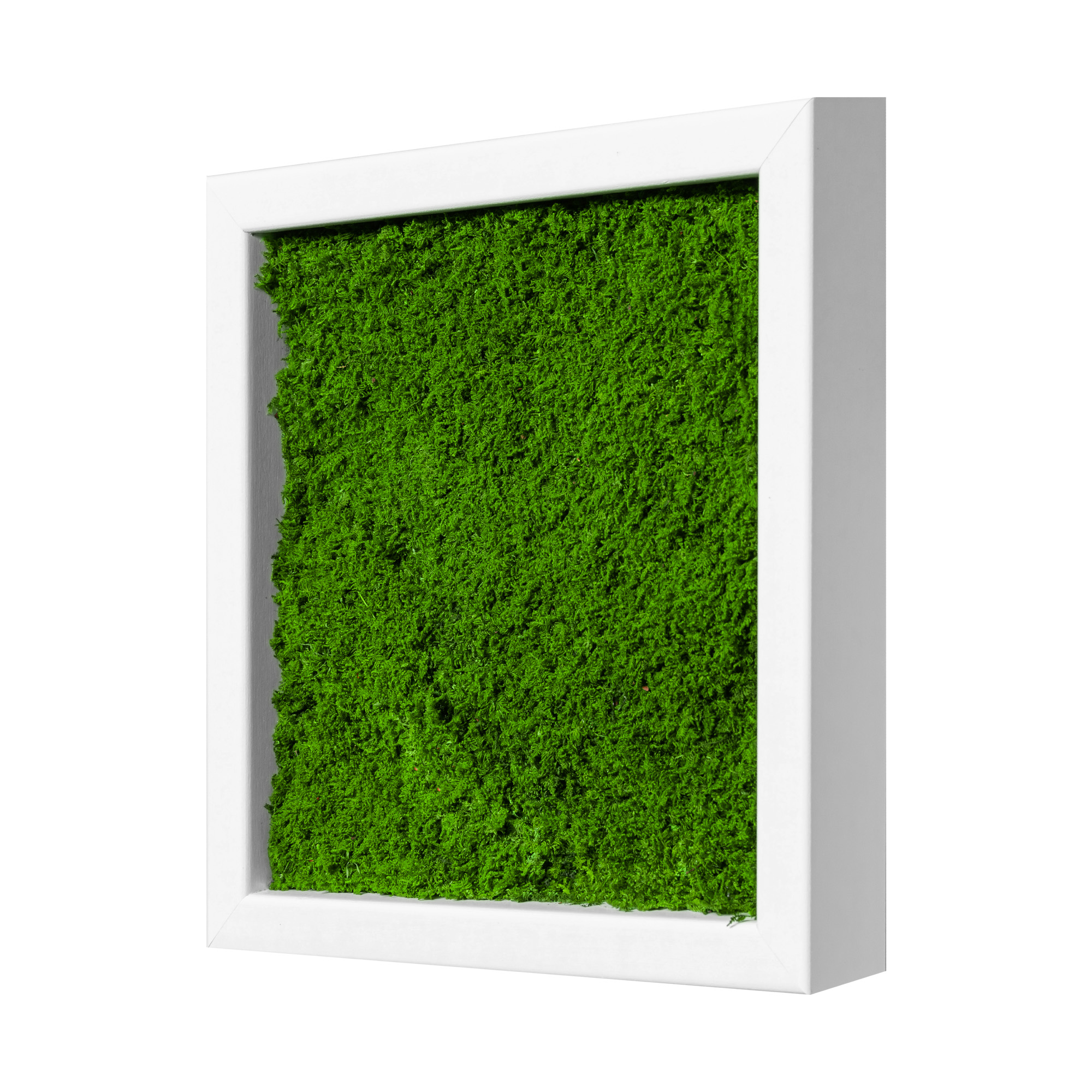 25x25_fla_wei
