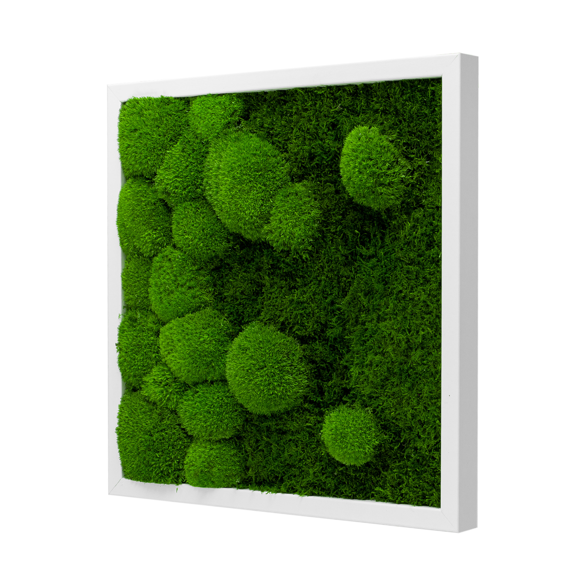 RIV_45x45W_