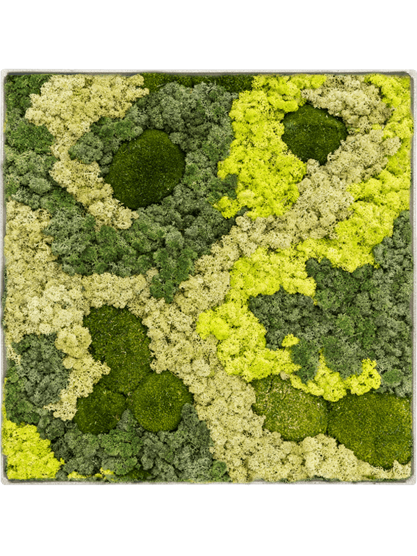 Moss Painting (5)