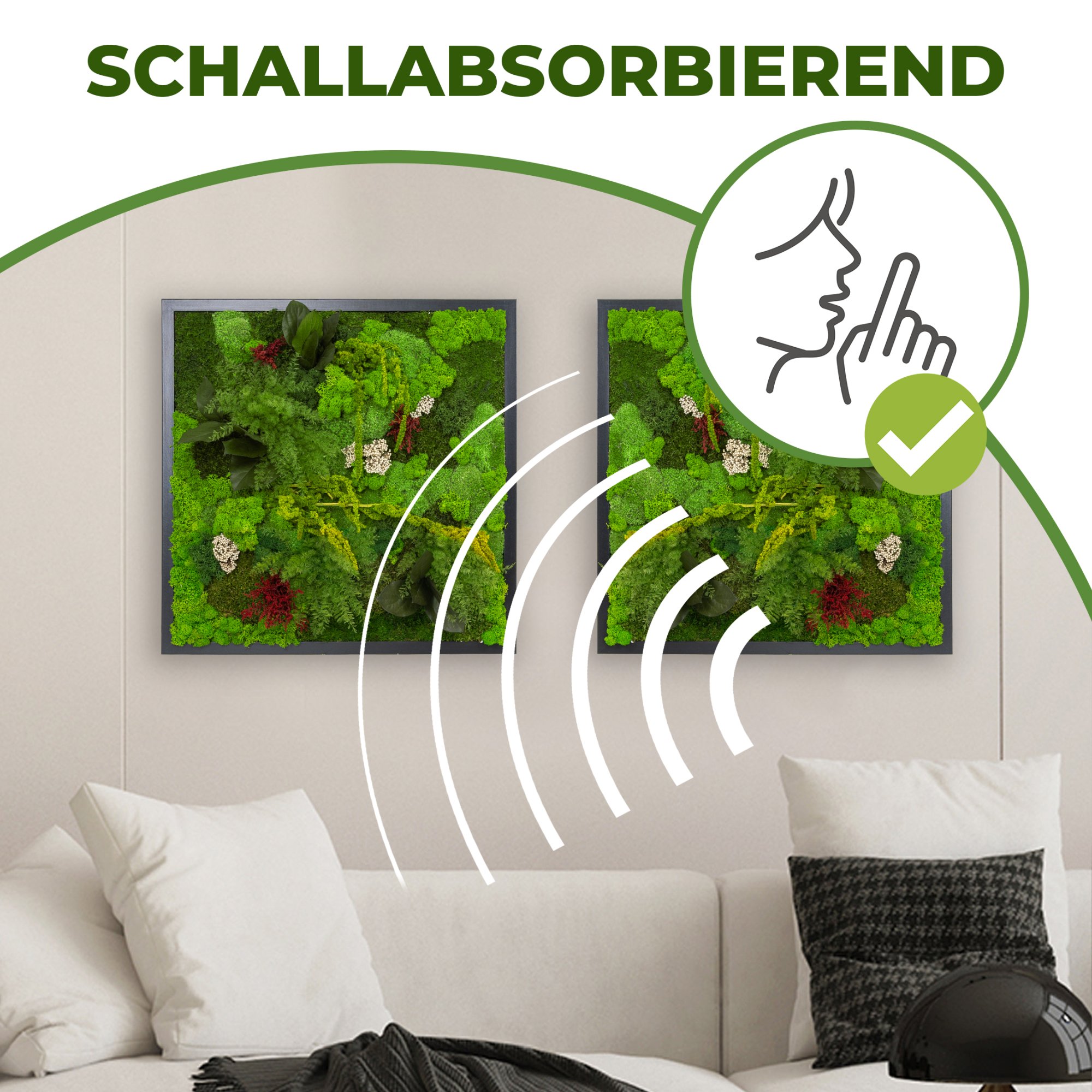 DSC_Schall