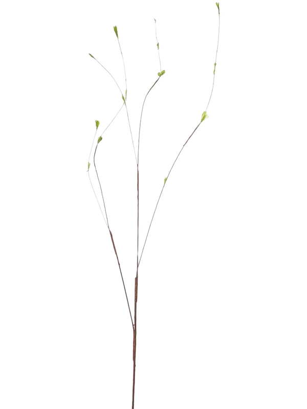 Twig (130)