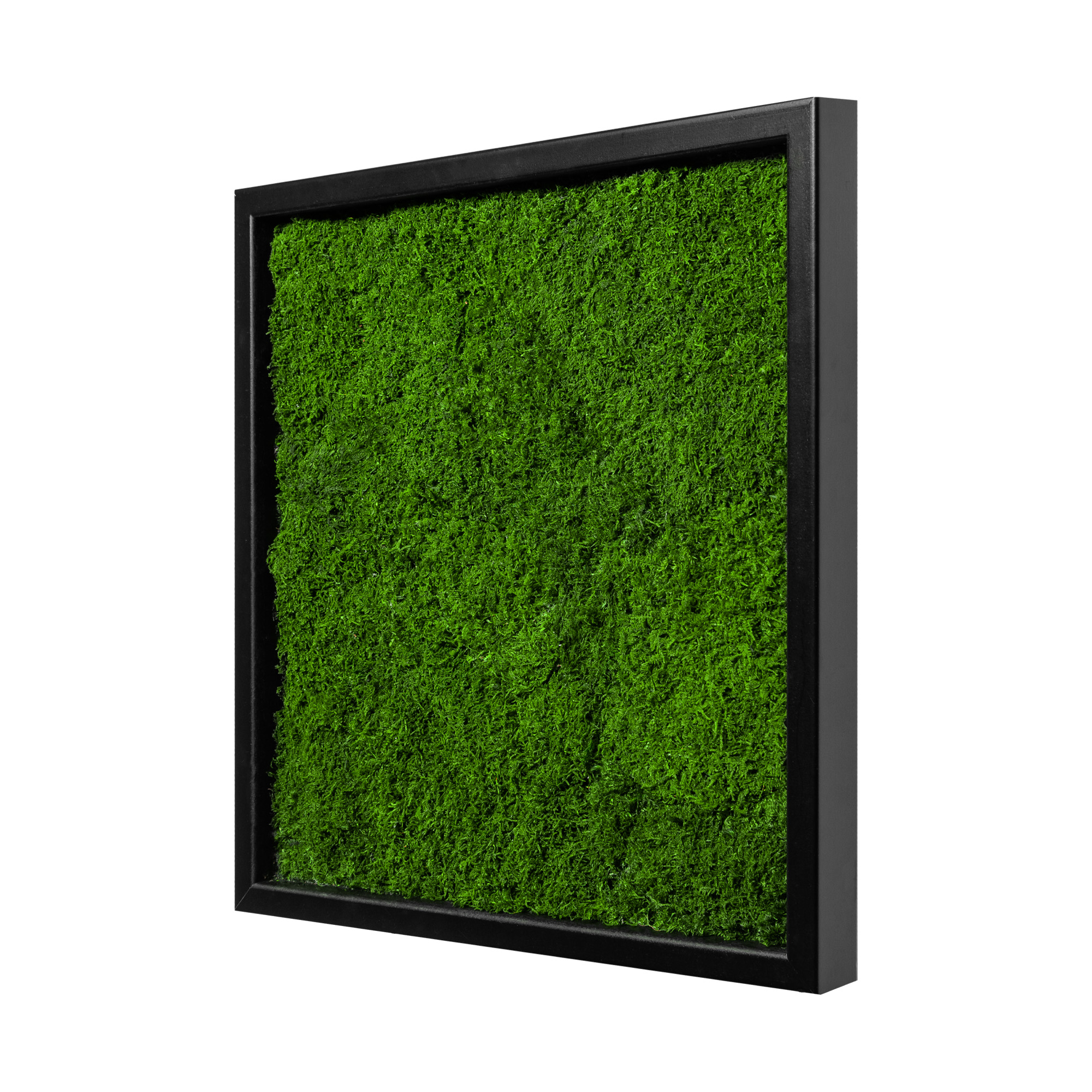35x35_45x45_55x55_fla_sch
