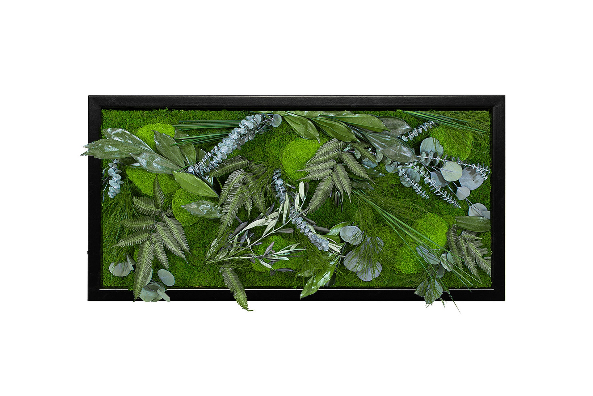 DschungelDesign60x30S