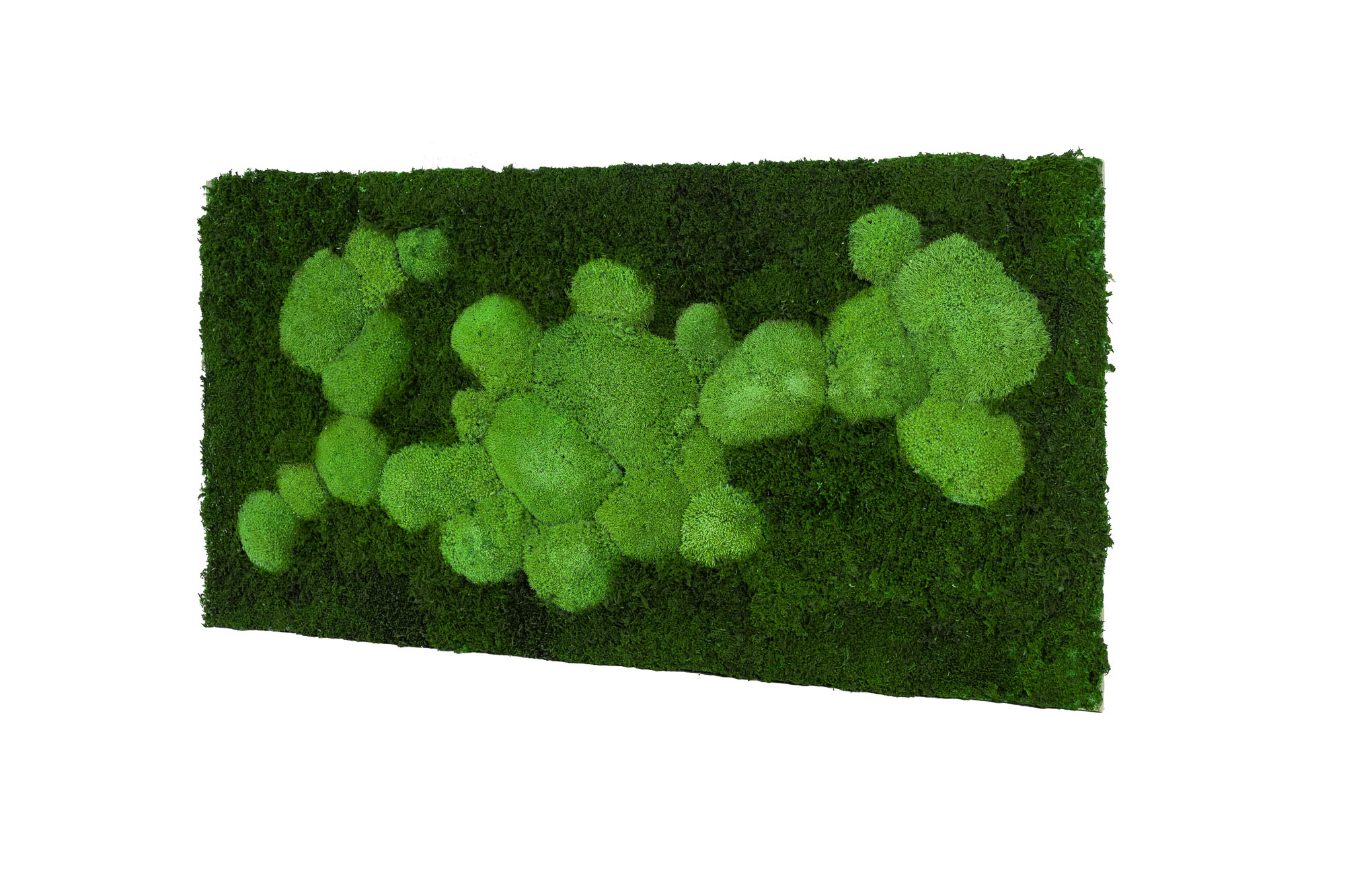 6_RET_2_100x50-FIF-MDF