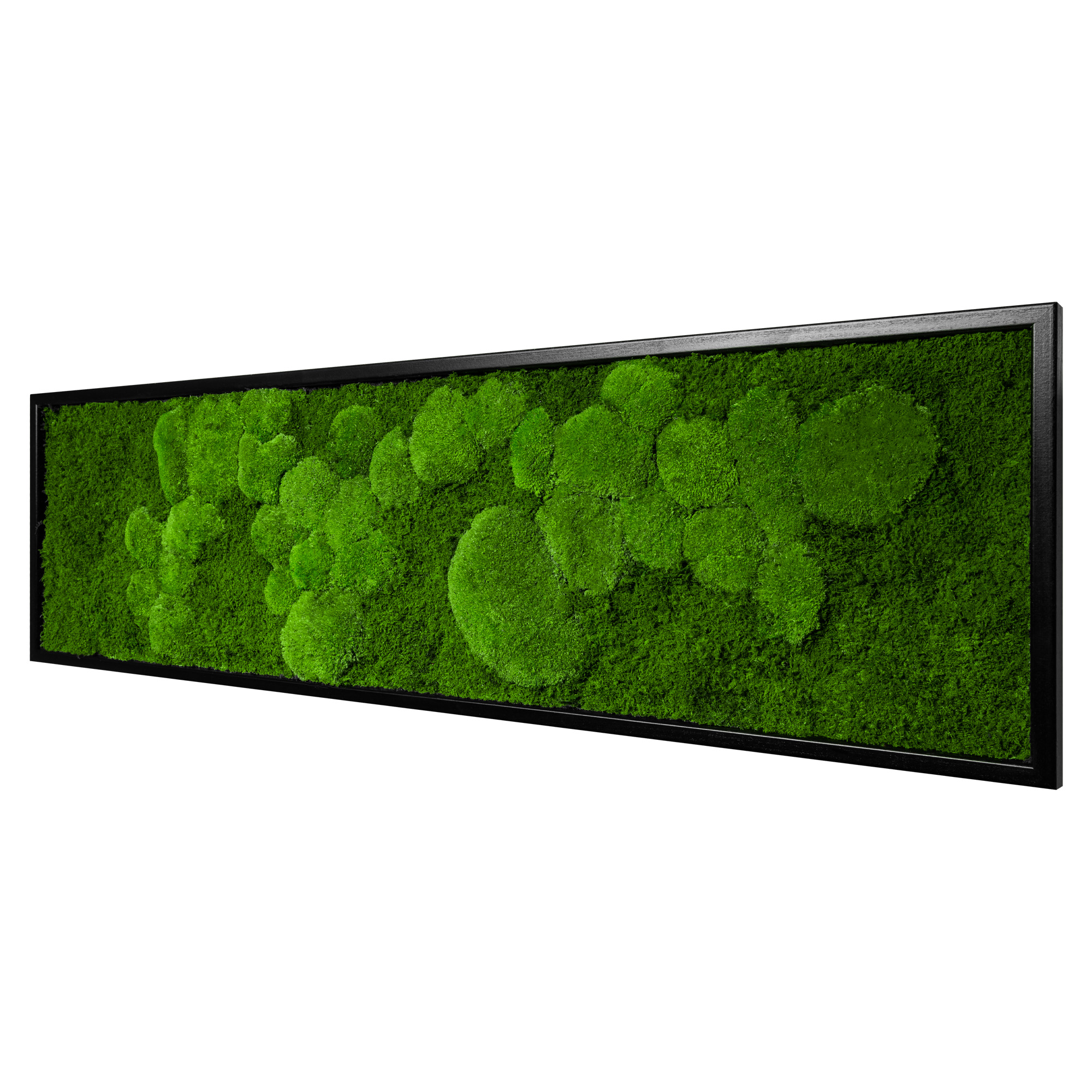140x40_fif_sch