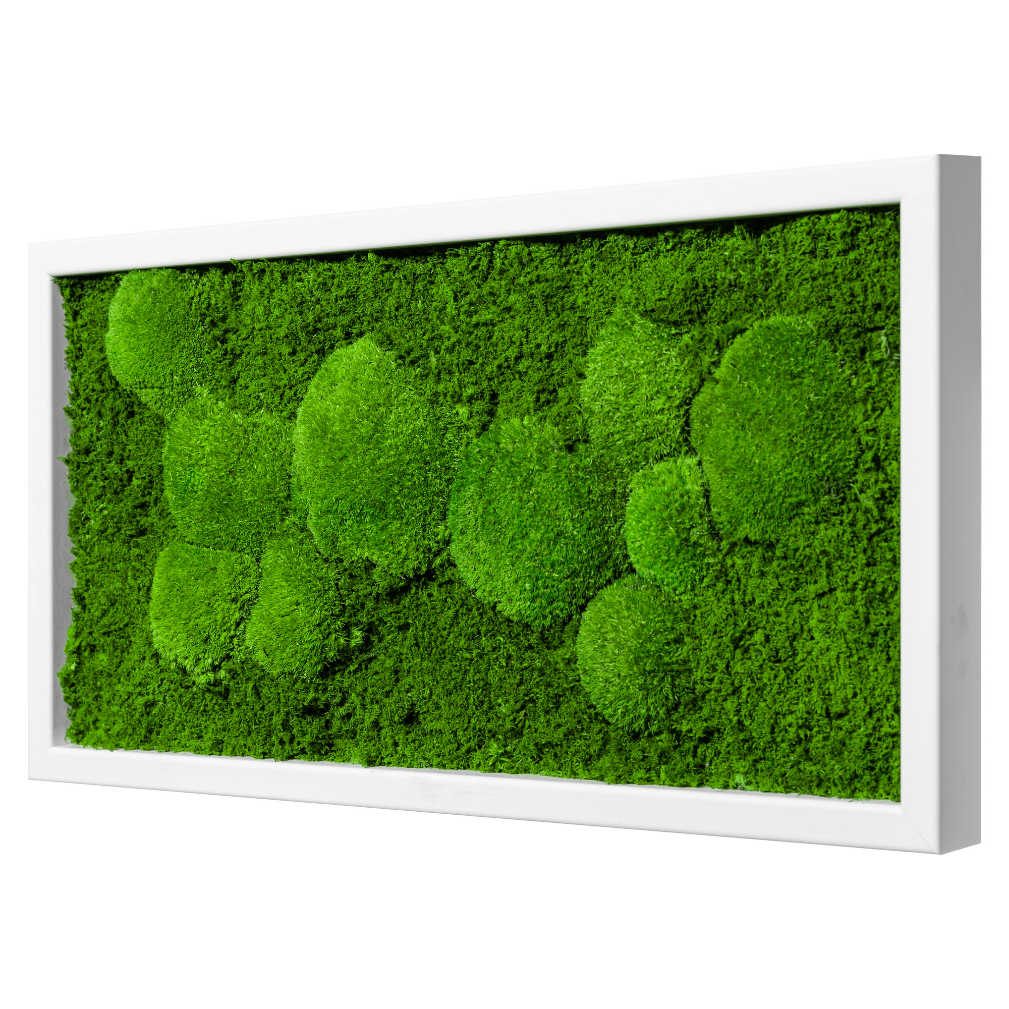 60x30_fif_wei