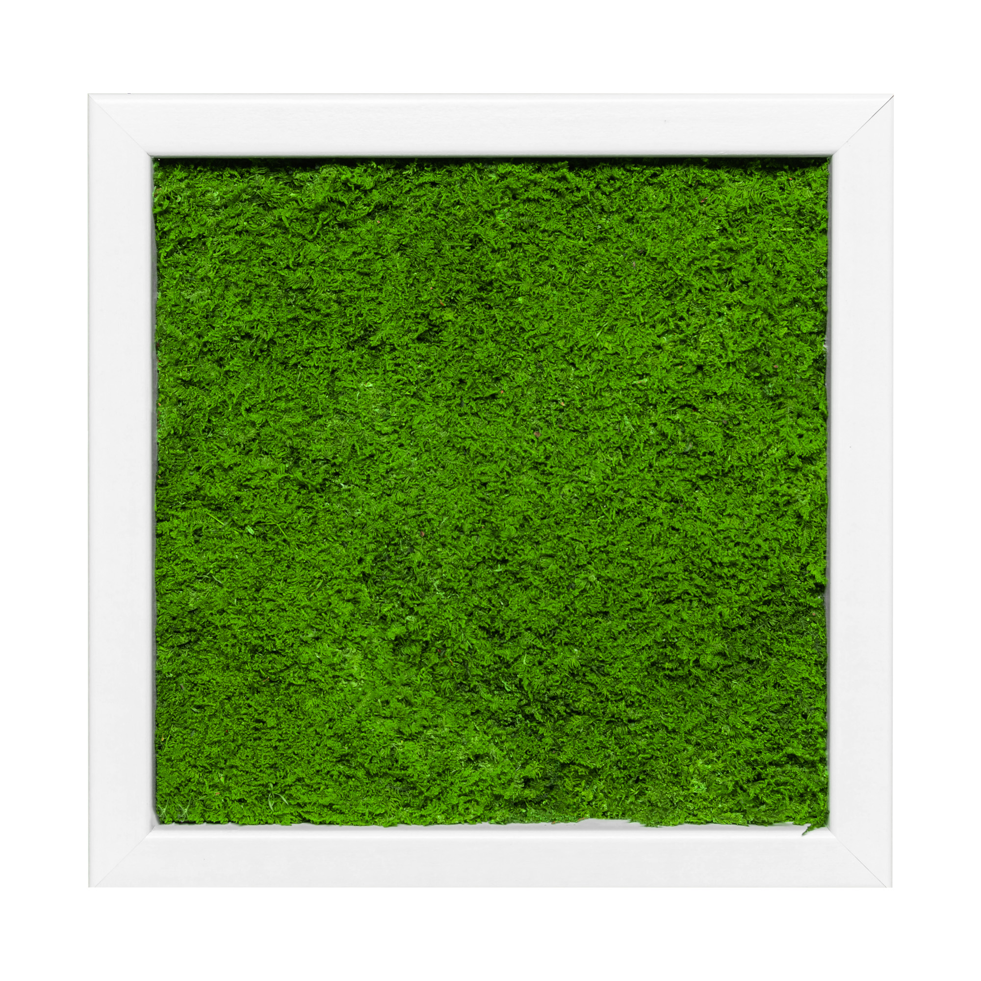 25x25_fla_wei_1