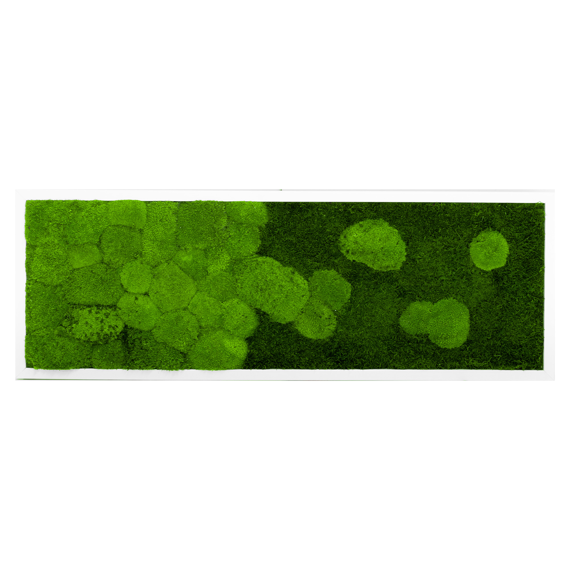 RIV_100x35W_1_