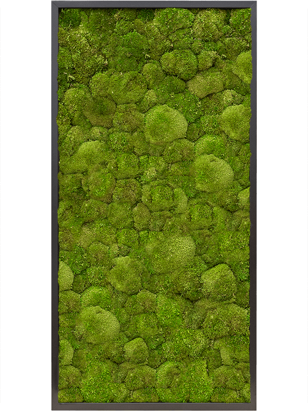 Moss Painting (6)
