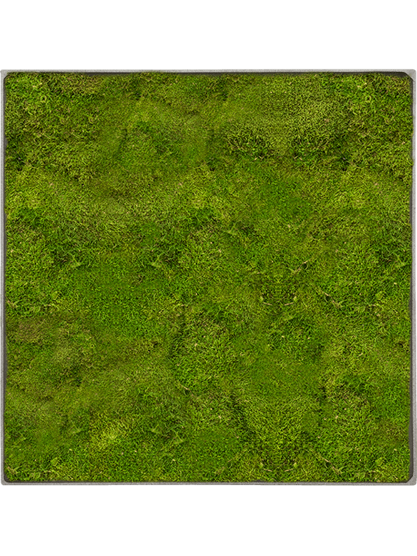 Moss Painting (5)