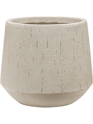 6RDPBE213-medium
