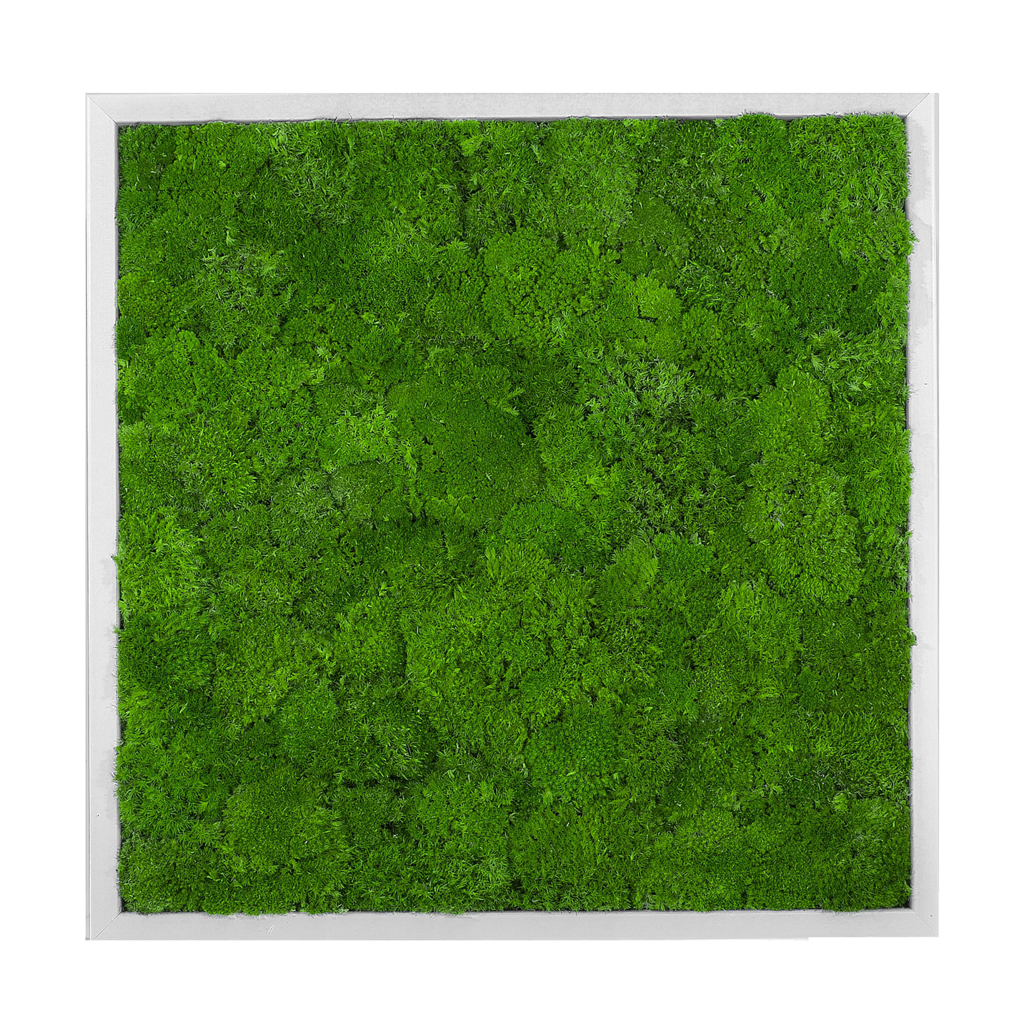Wave_Design_55x55W_1_