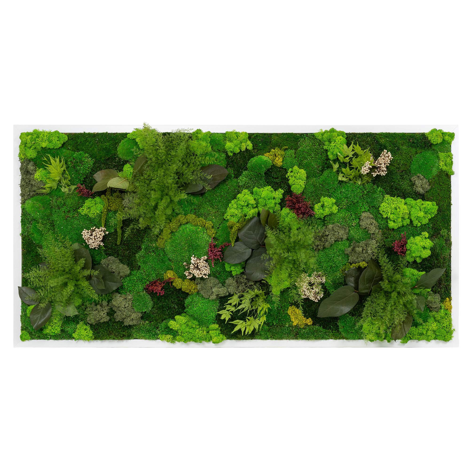 Moosbild Dschungel Design (110x55, weiß)