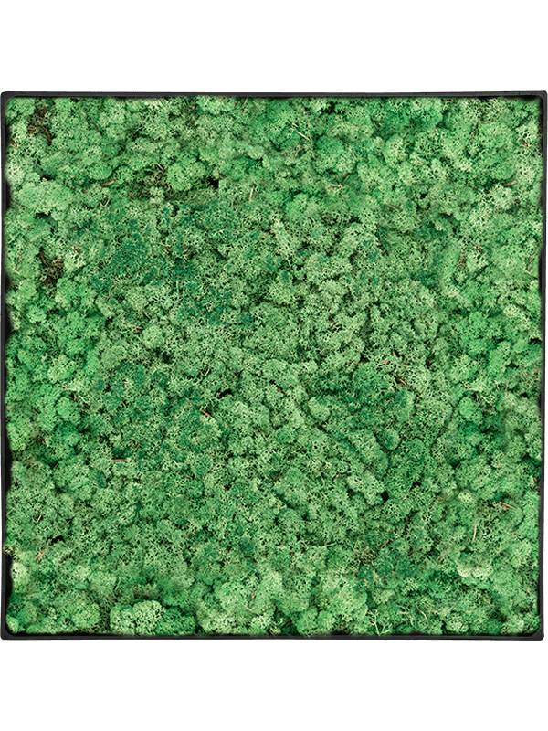 Moss Painting (5)