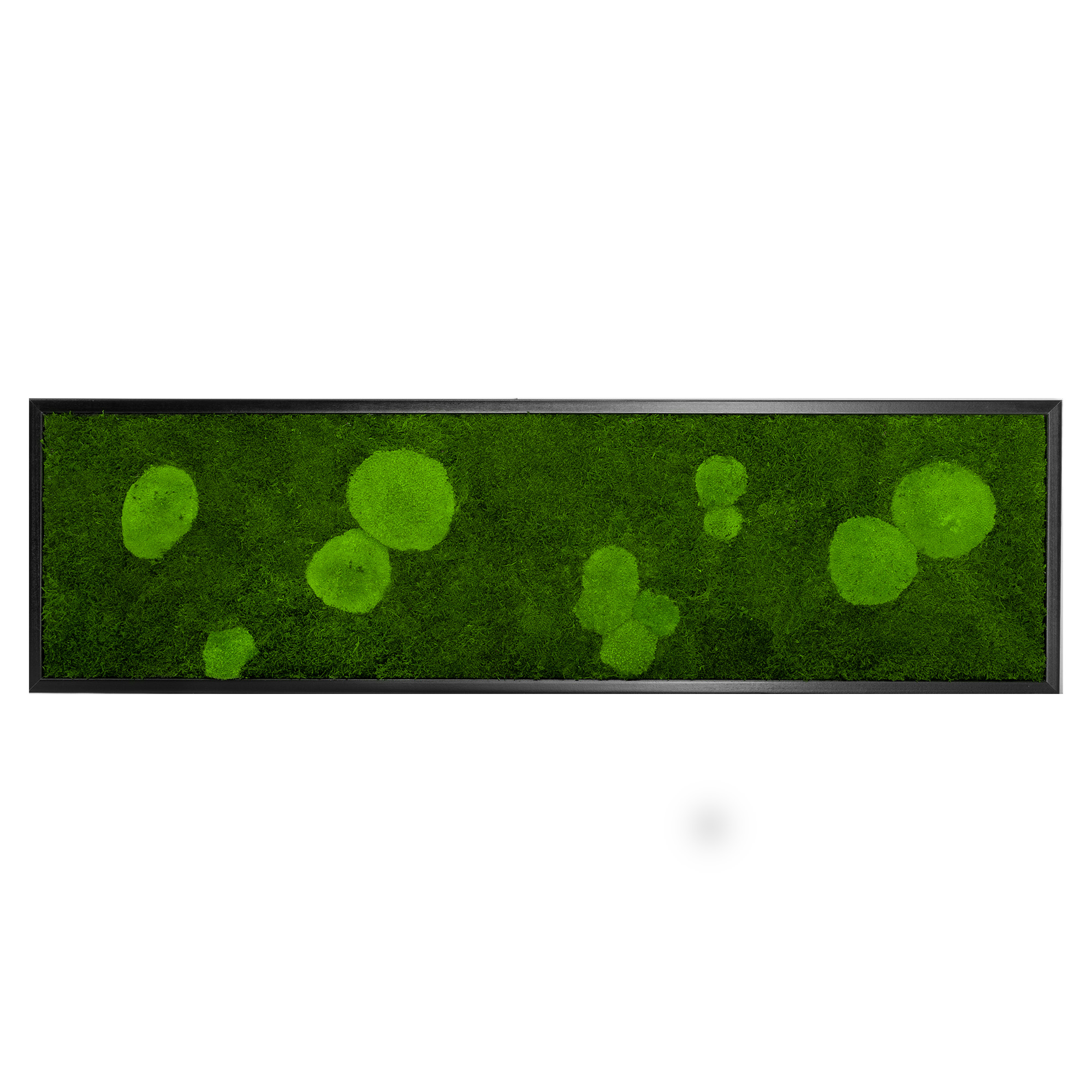 FOR_140x40S_1_
