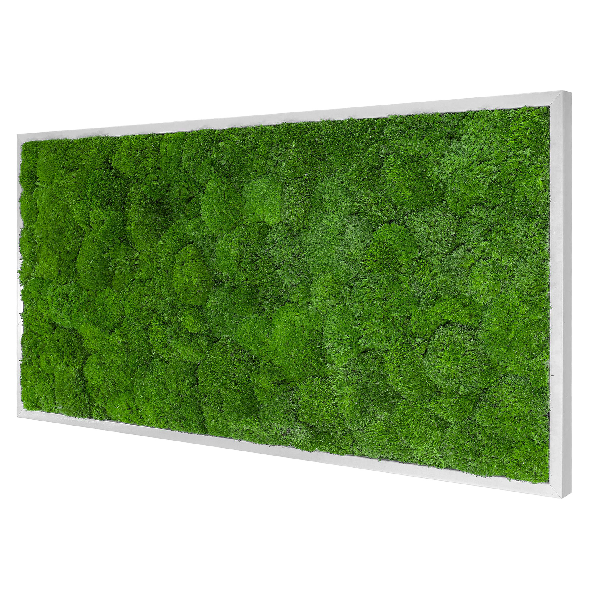 Moosbild Wave Design (110x55, weiß)