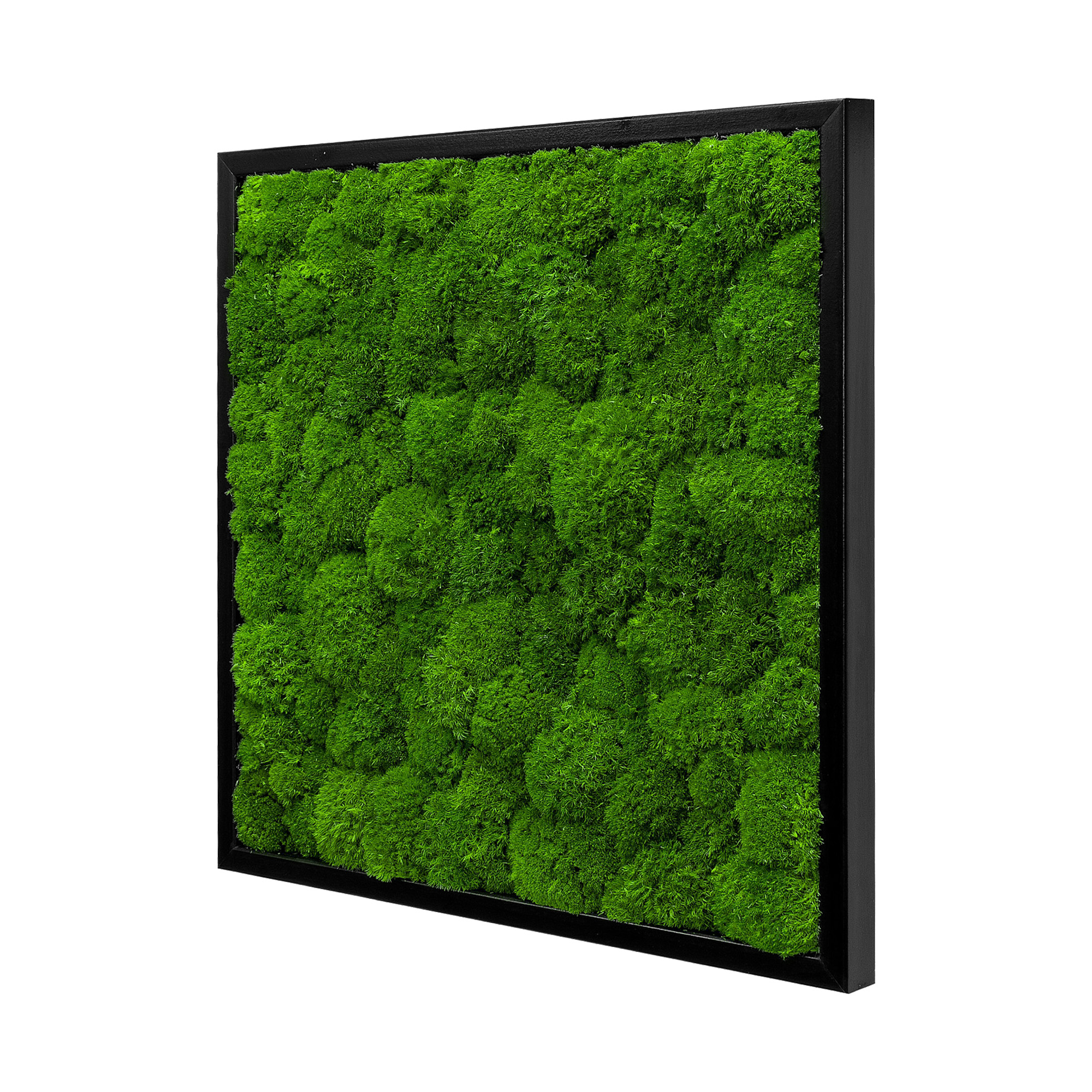 Wave_Design_55x55S_