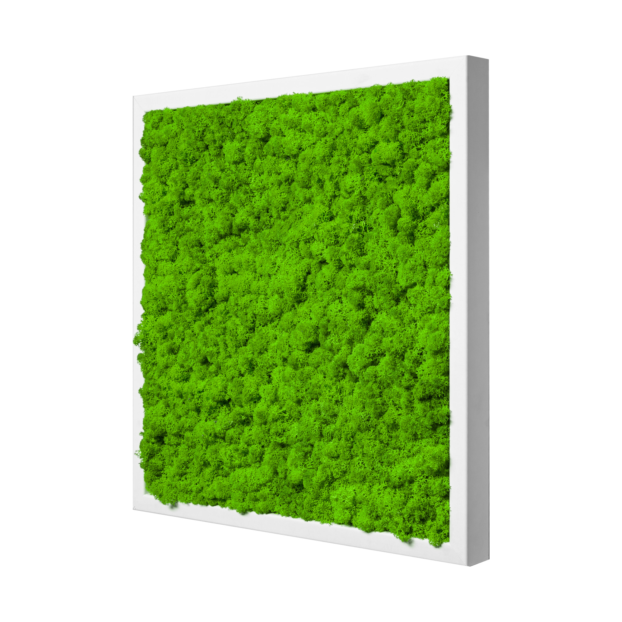35x35_45x45_55x55_isl_wei