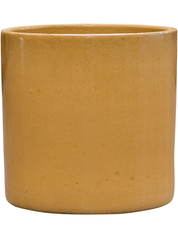 Cylinder (50)