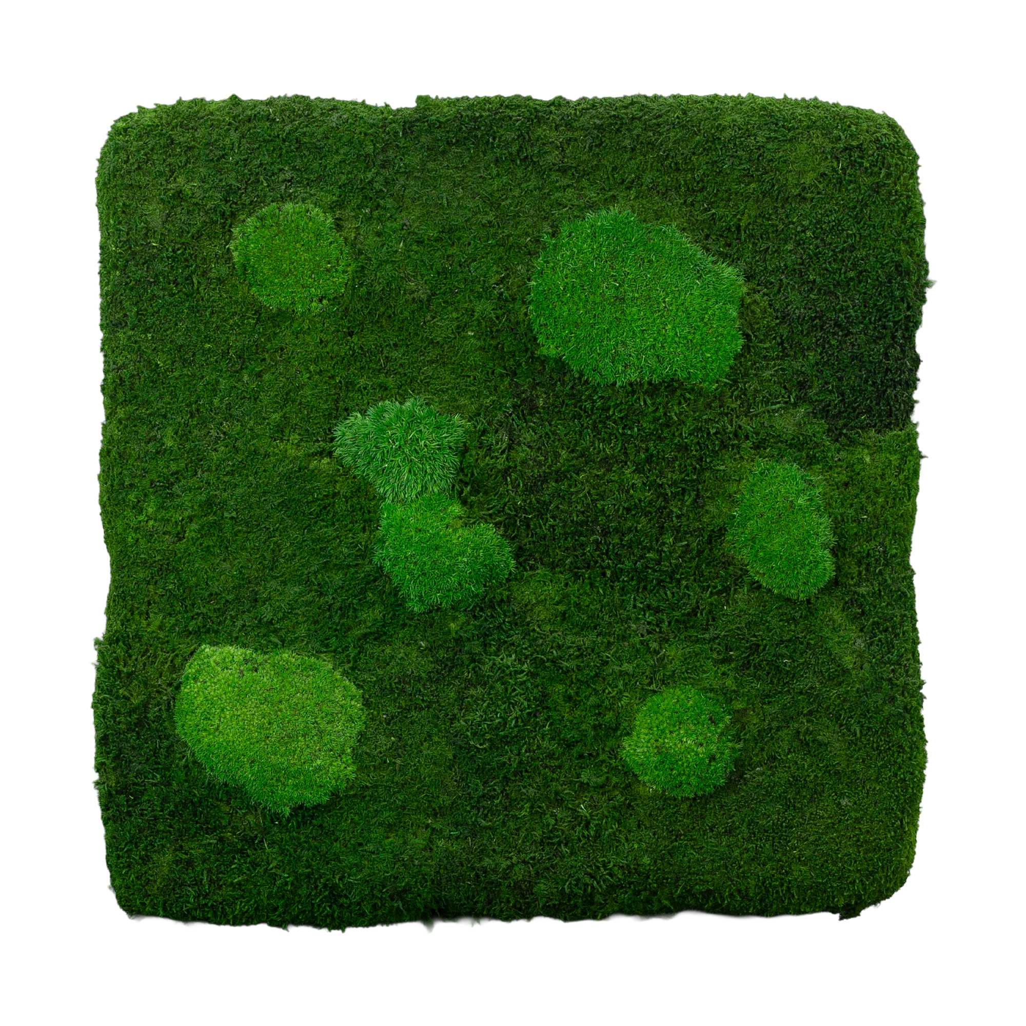 1-45x45-FOR-ORI_2