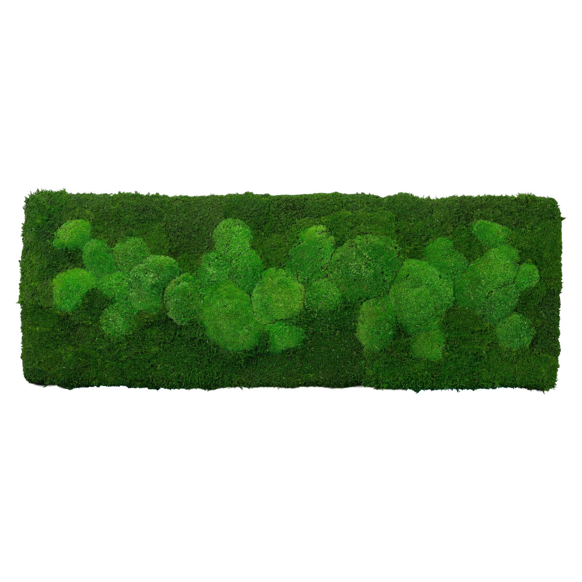 1-100x35-FIF-ORI_2