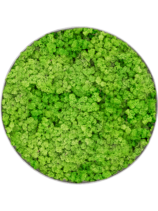 Moss Painting (5)
