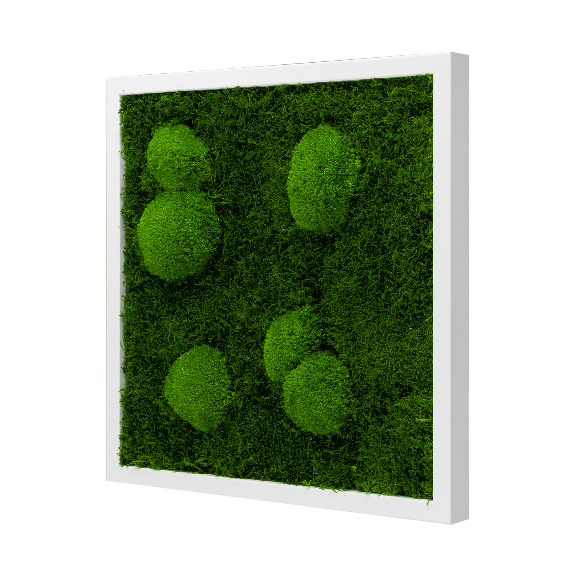 FOR_45x45W_